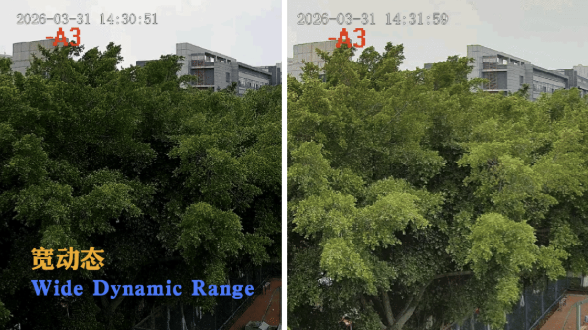 QQ20260512-111151.png QQ20260512-111151.png